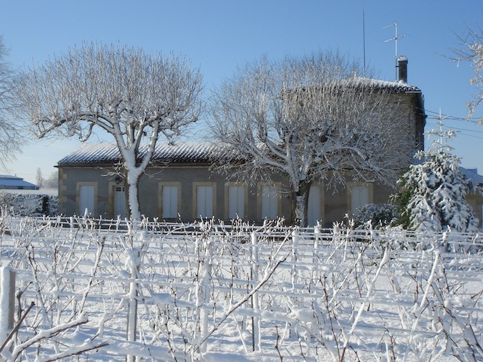 Château Cap de Mourlin bajo la nieve con las viñas cubiertas de nieve